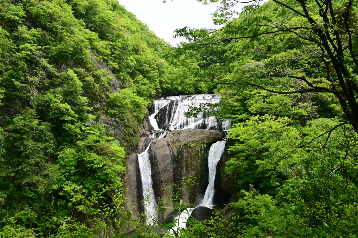 袋田の滝