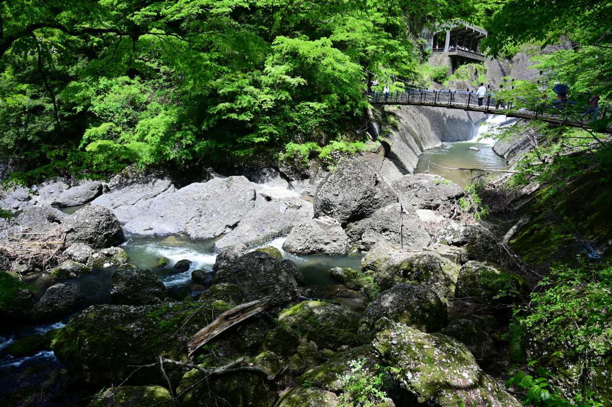 袋田の滝とつり橋