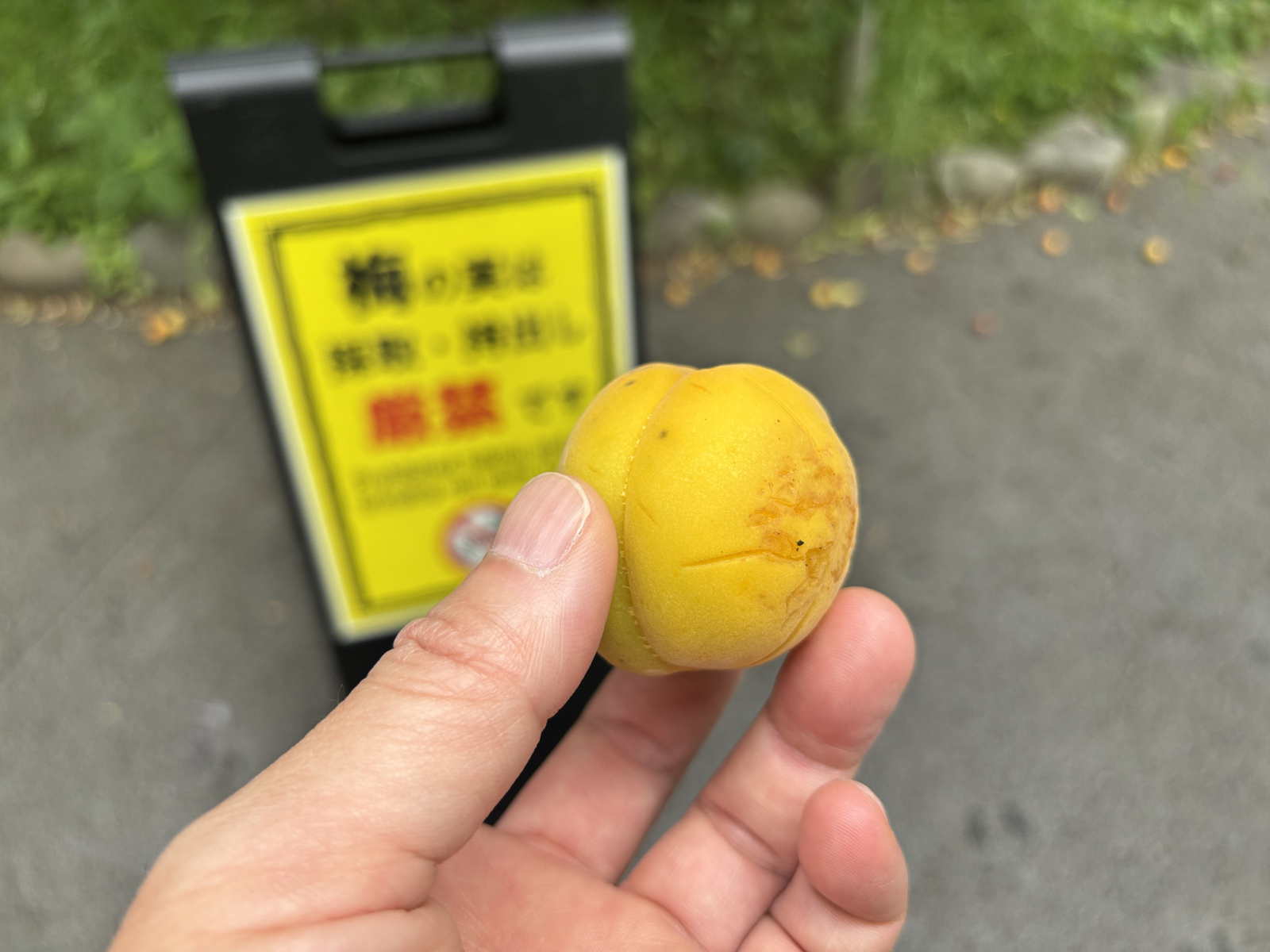 神代植物公園